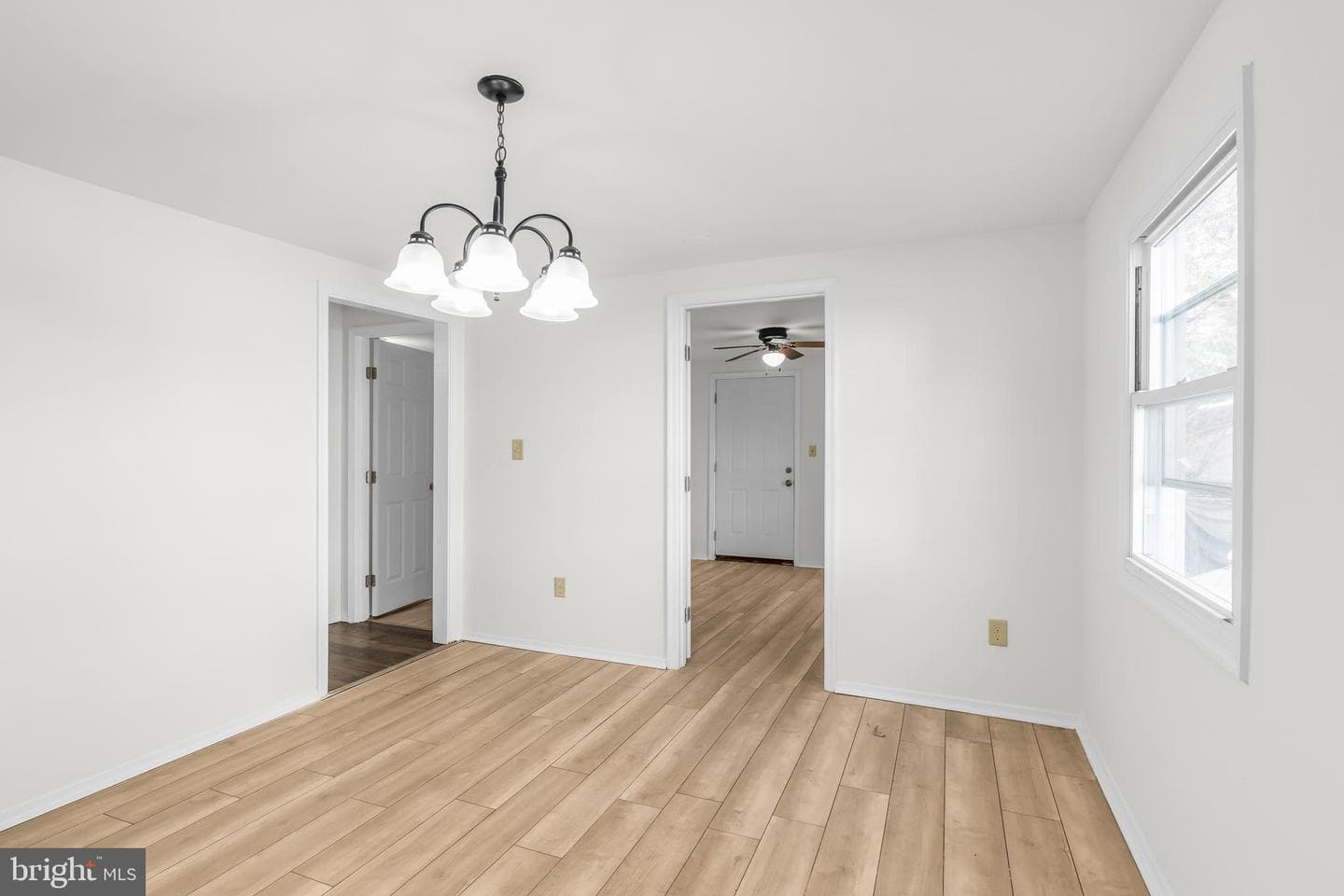410 Elizabeth Street photo 8