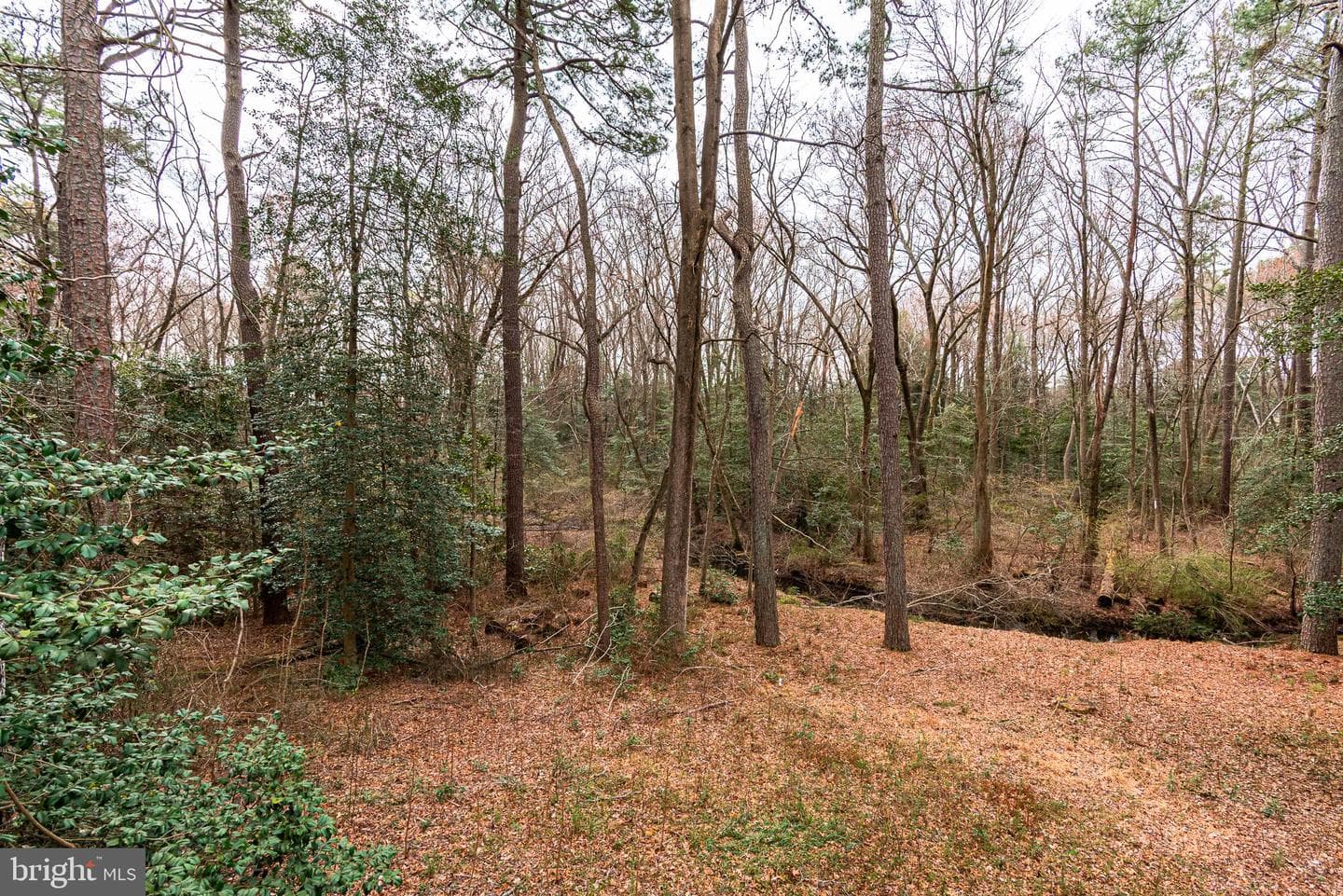 808 Friar Tuck Lane photo 77