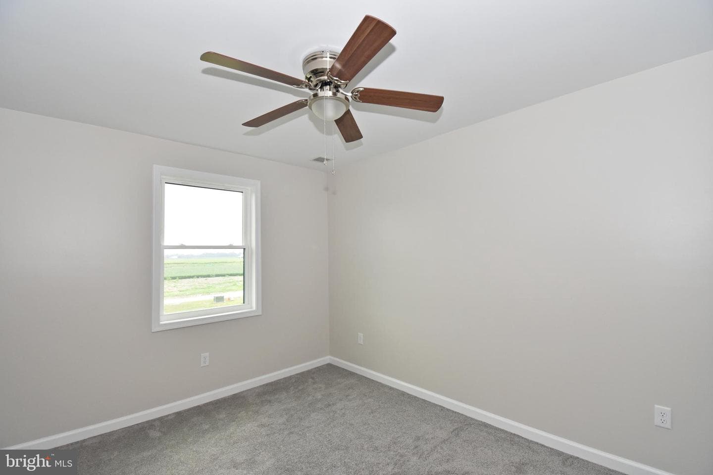 313 Brown Street photo 42