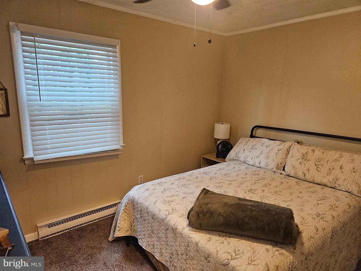 30420 Cannon Drive photo 11