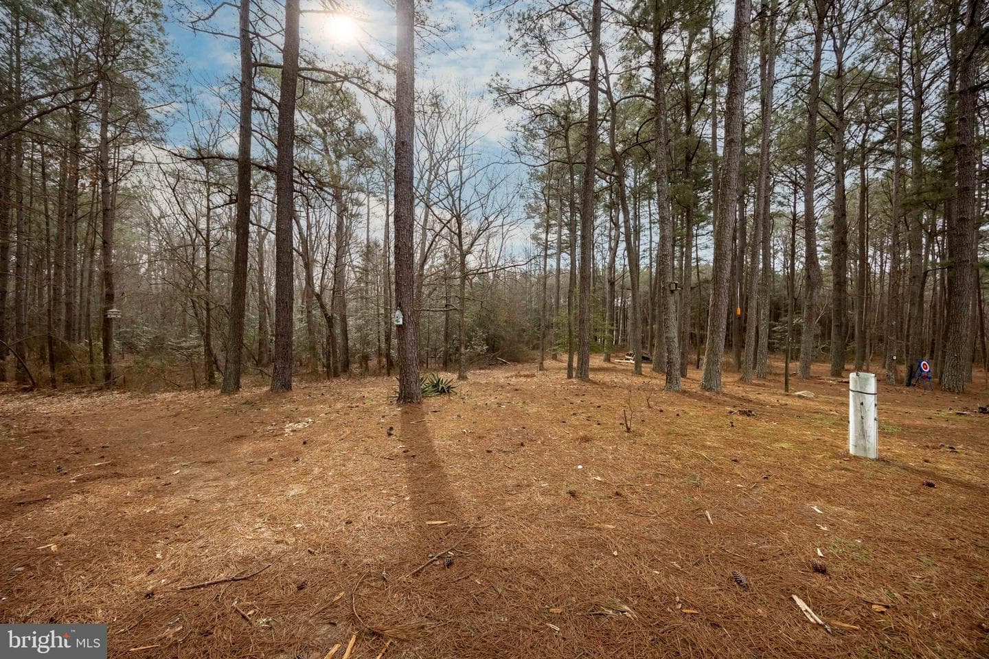 22139 Royal Oak Road photo 51
