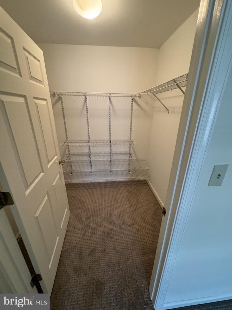1103 S Schumaker Drive #c-303 photo 12