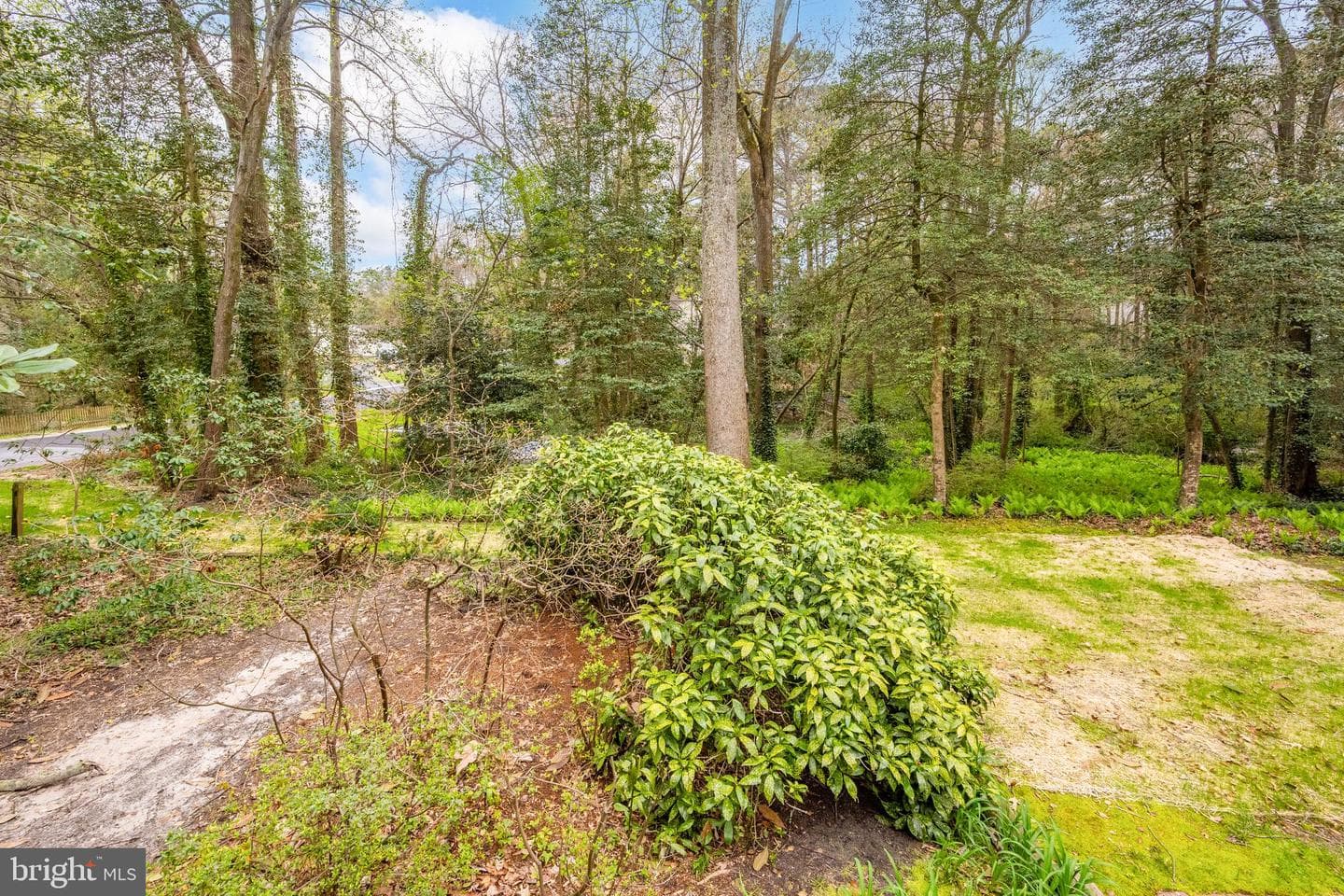 516 Indian Lane photo 71