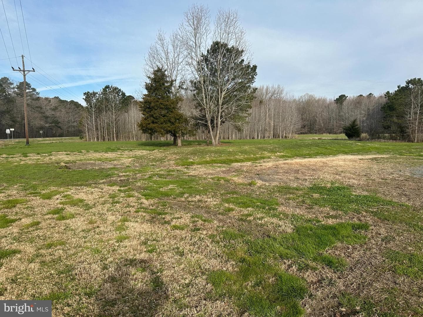 3270 Whitehaven Road photo 4