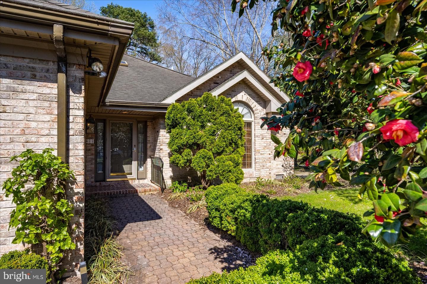 611 N Park Drive photo 121