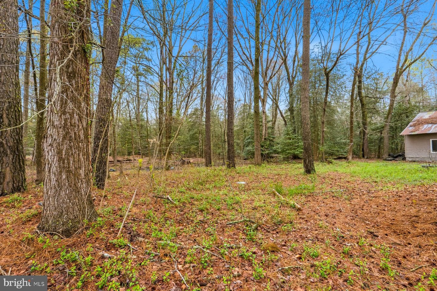 8434 Hurleys Neck Rd, Mardela Springs