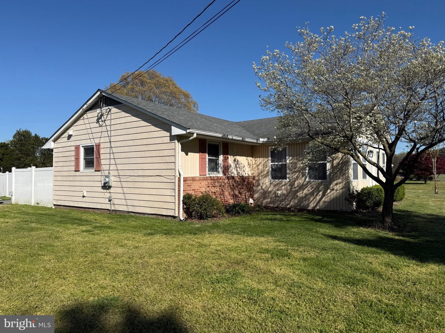 501 Chestnut Street photo 6