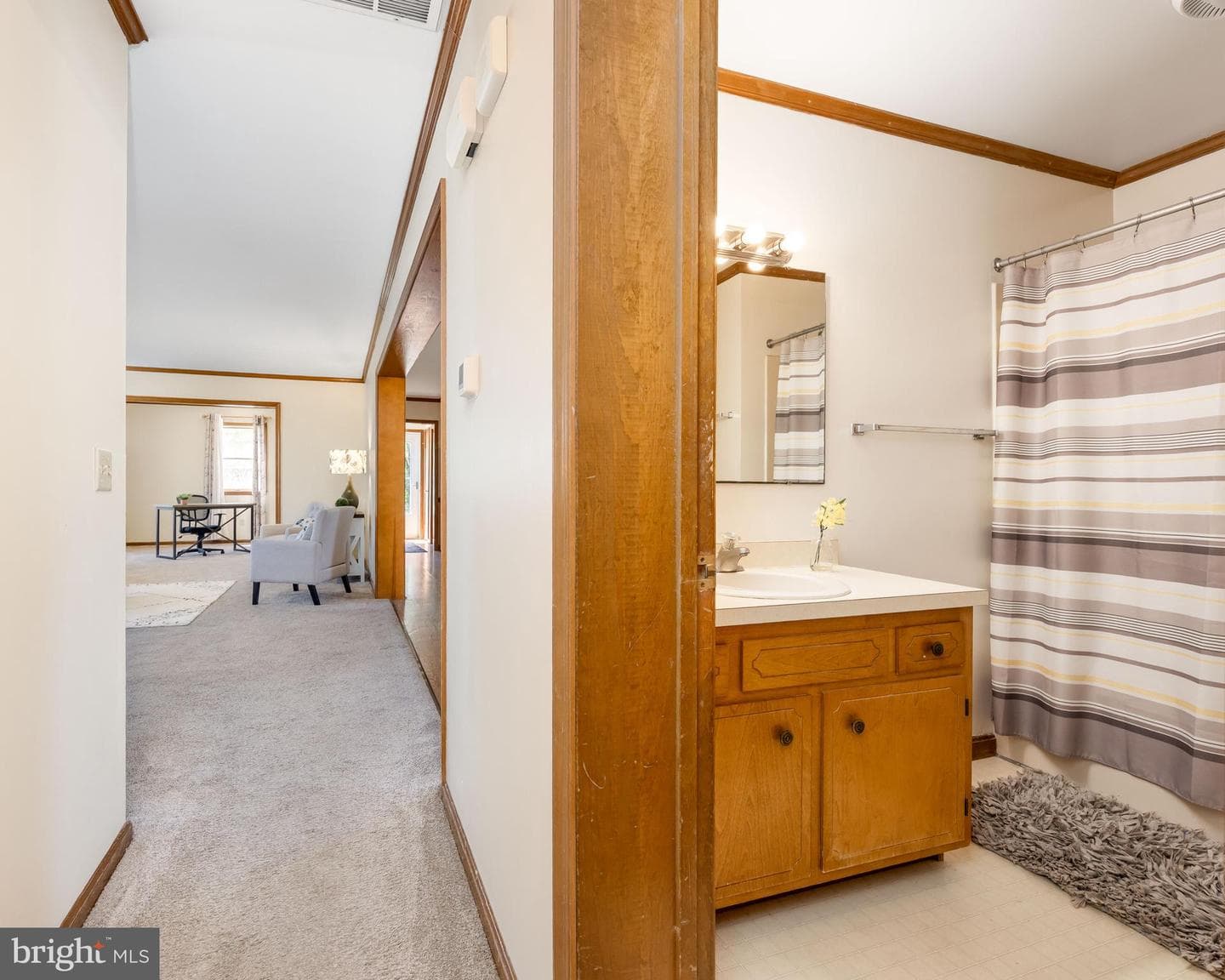 9830 Sharptown Road photo 22