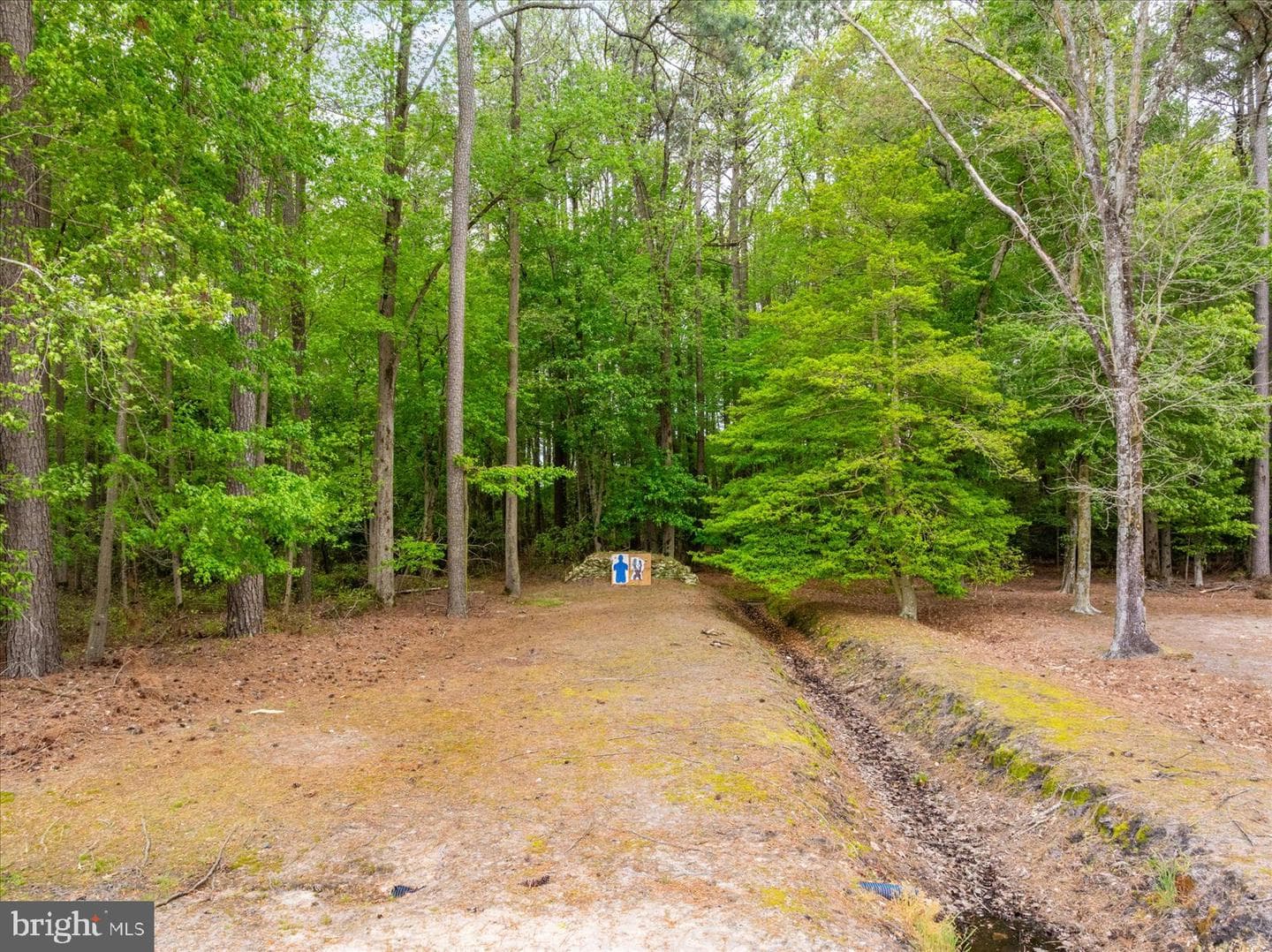 33915 Shockley Road photo 120