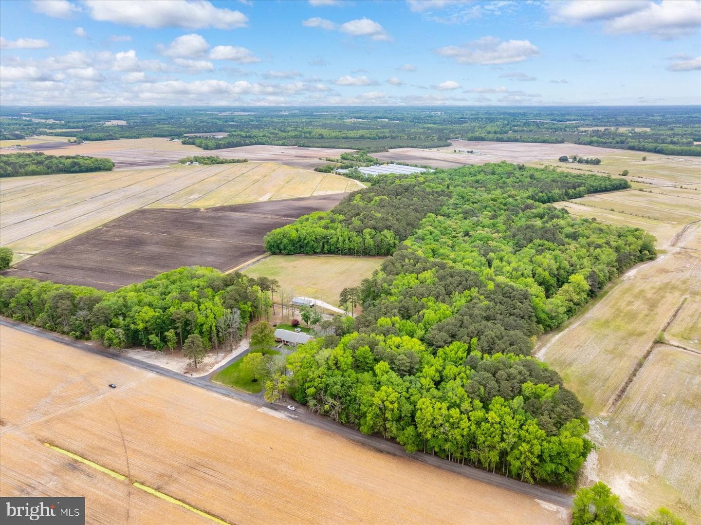 33915 Shockley Road photo 124
