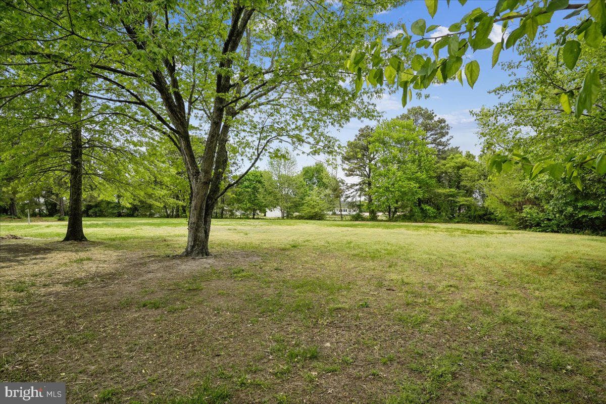 27202 N Tourmaline Drive photo 13