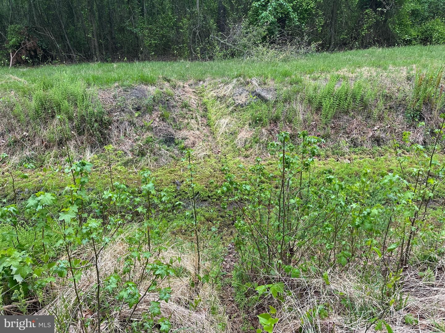 28403 Old Eden Road photo 13