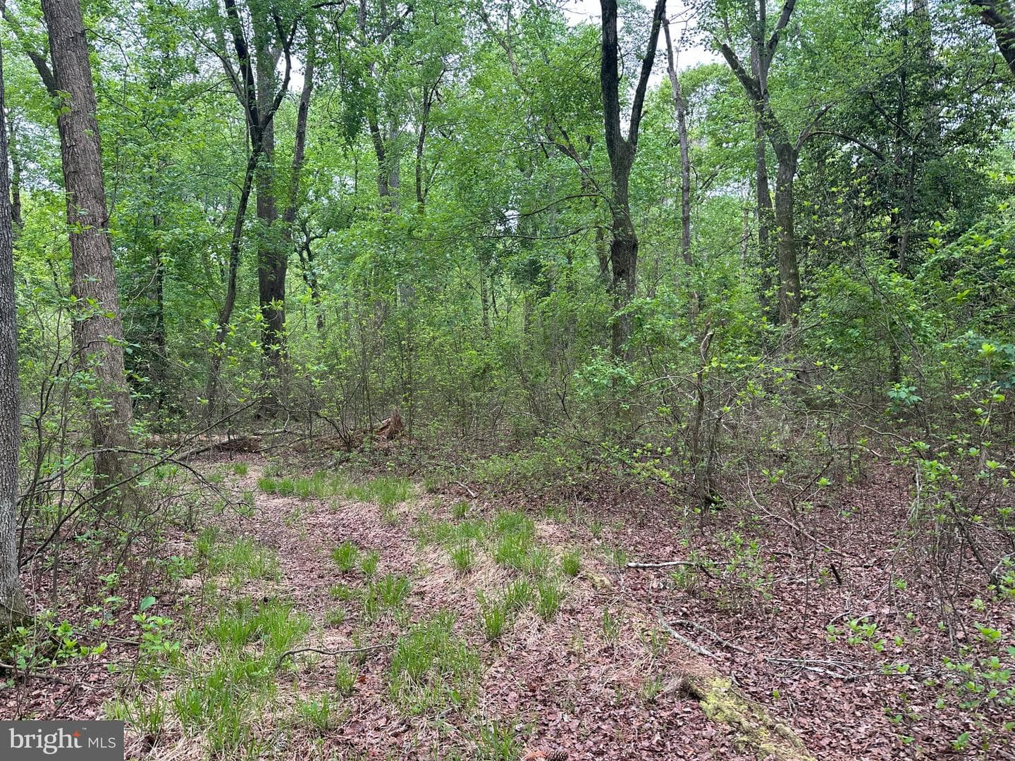 28403 Old Eden Road photo 7