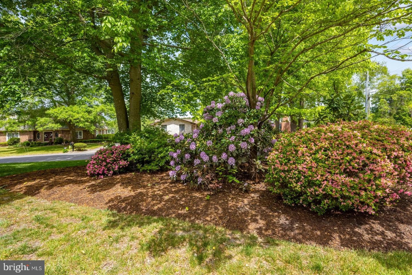 701 Riverside Pines Court photo 81