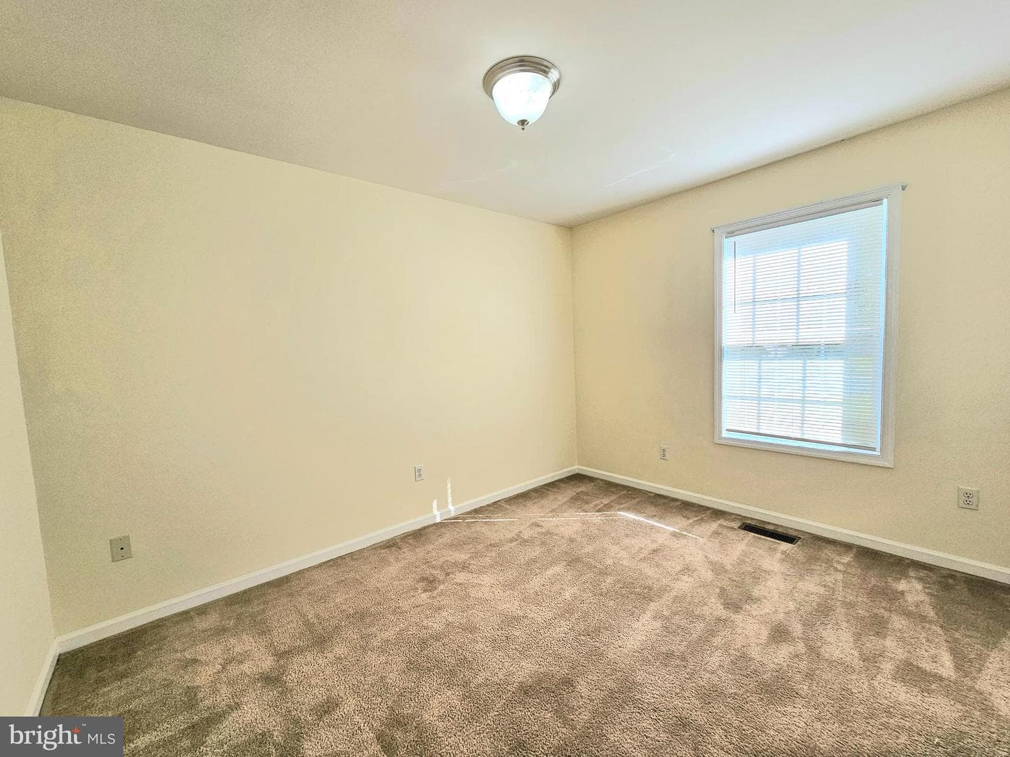 34764 Sandyfield Drive photo 14