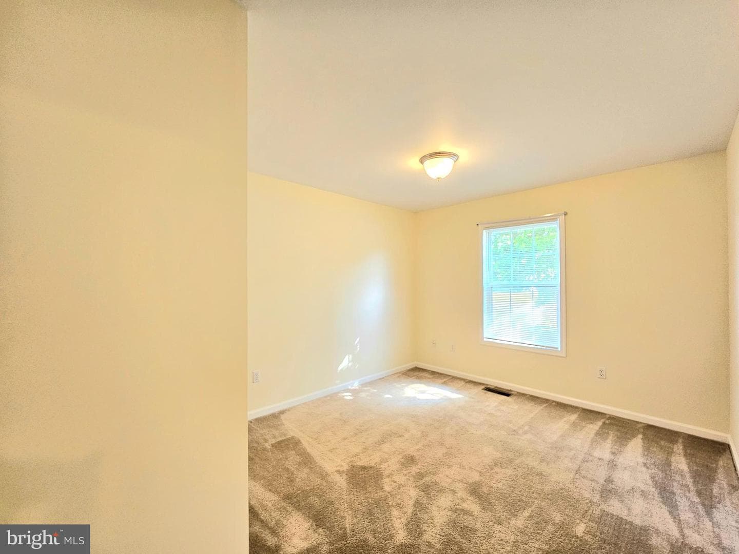 34764 Sandyfield Drive photo 17