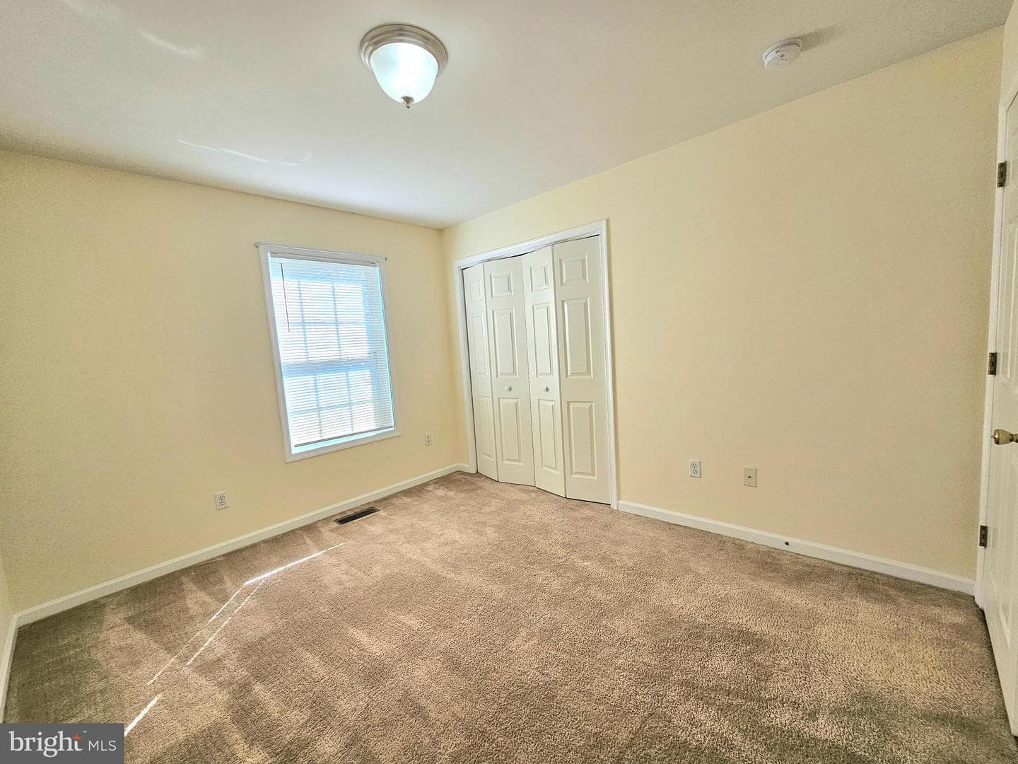 34764 Sandyfield Drive photo 18
