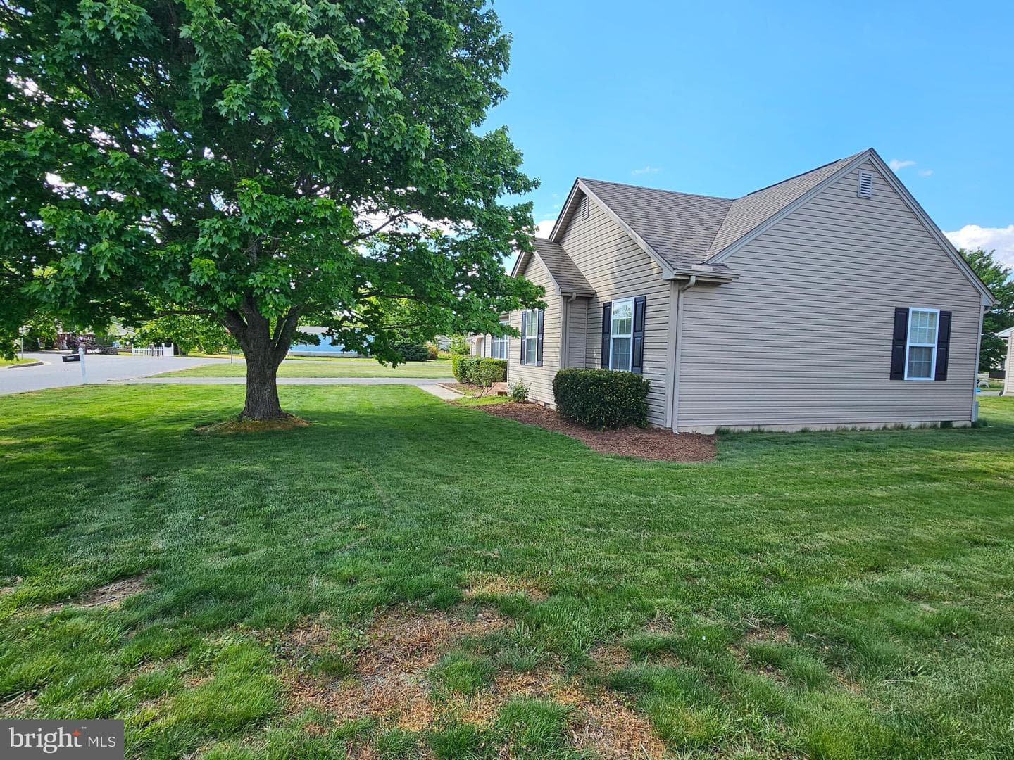 34764 Sandyfield Drive photo 23