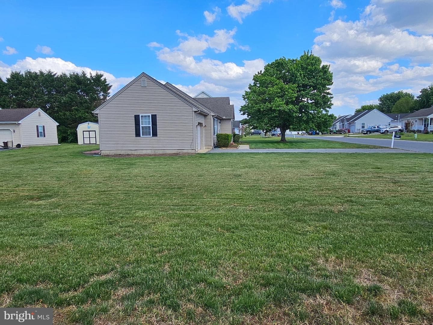 34764 Sandyfield Drive photo 28