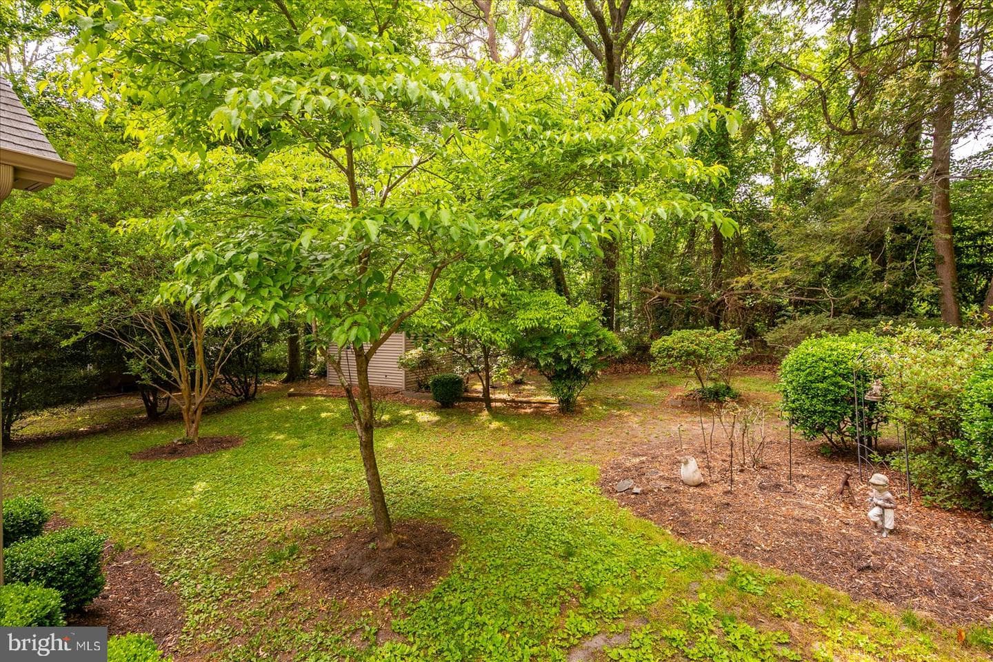 509 Dogwood Drive photo 65