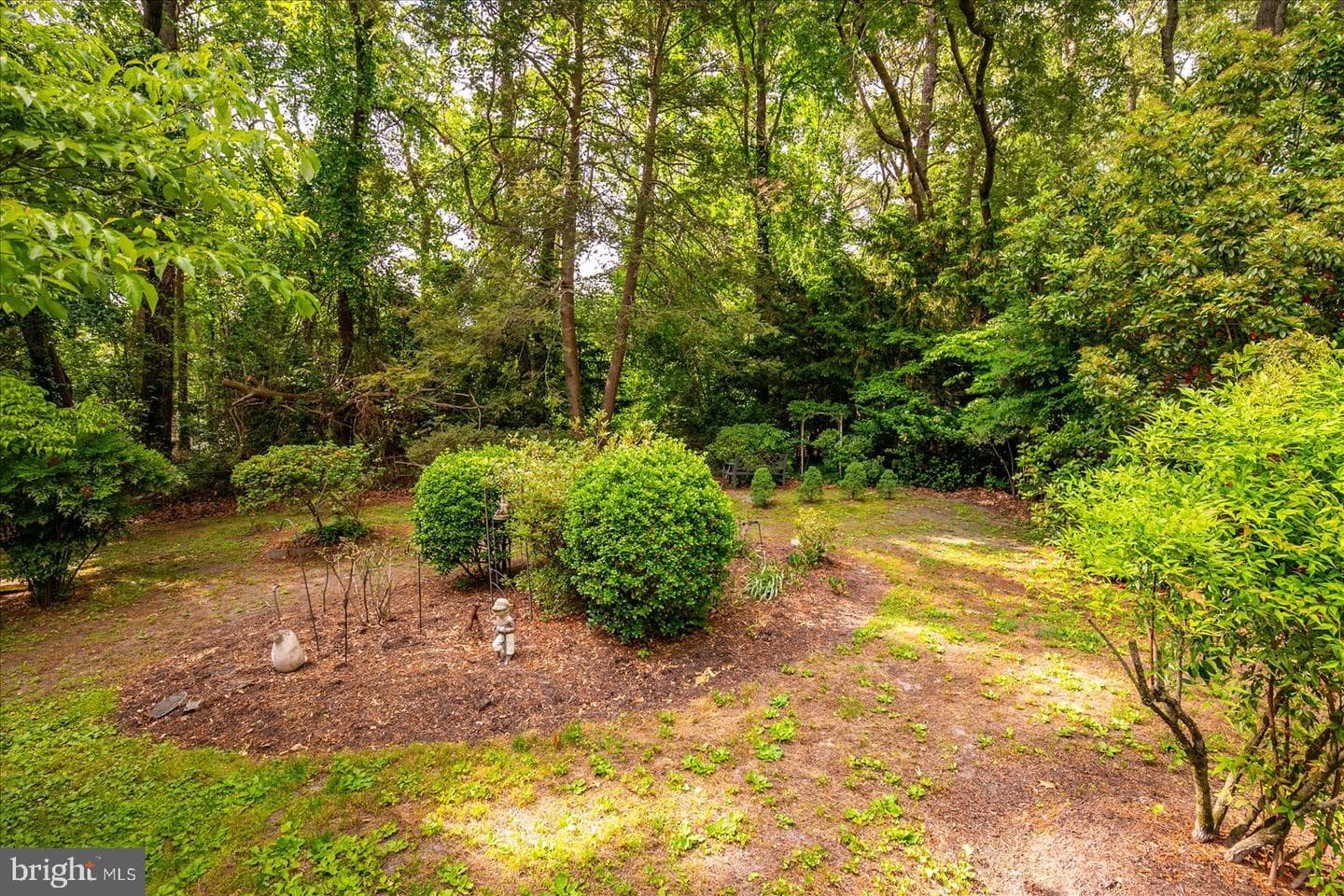 509 Dogwood Drive photo 66