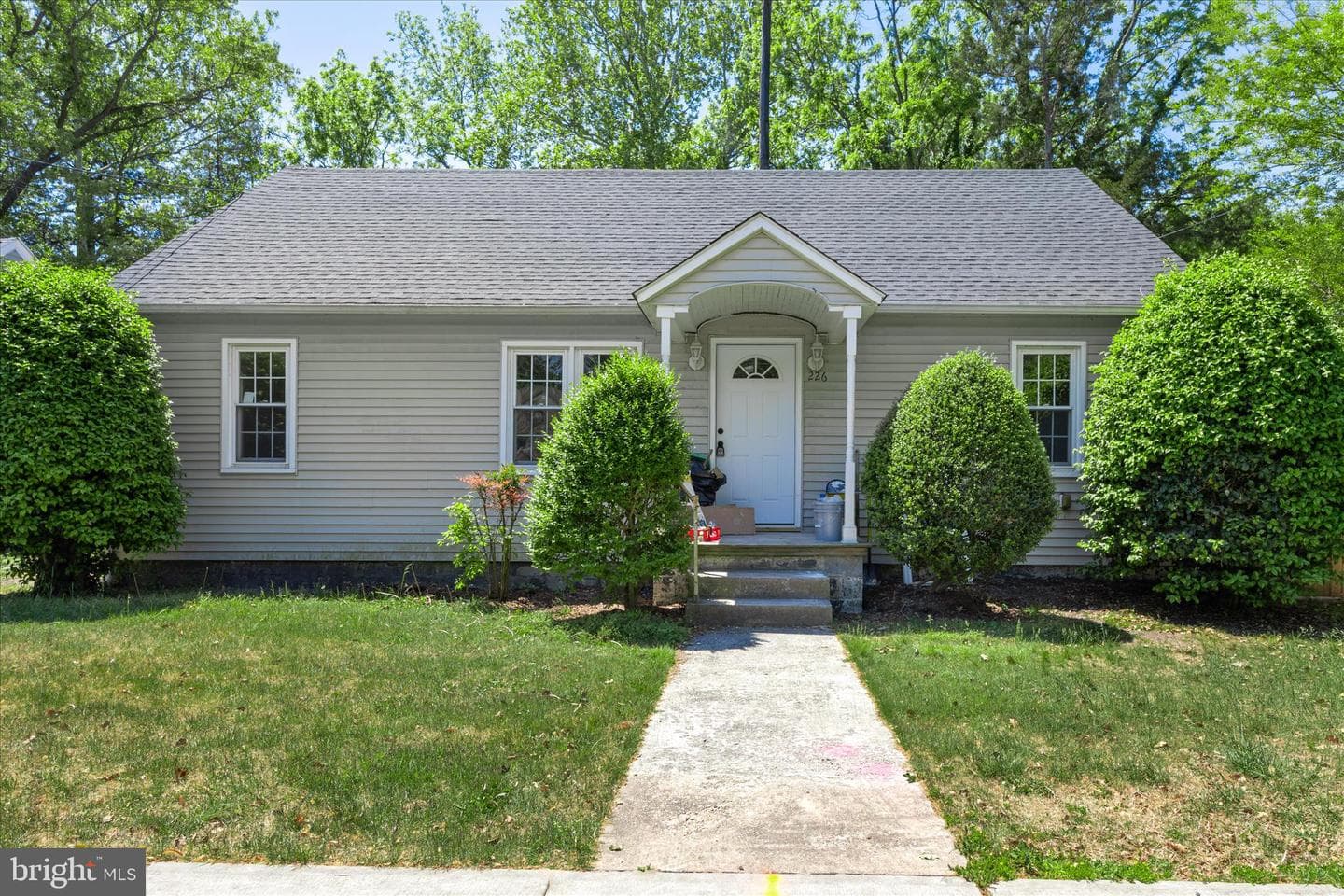 226 North Boulevard photo 2
