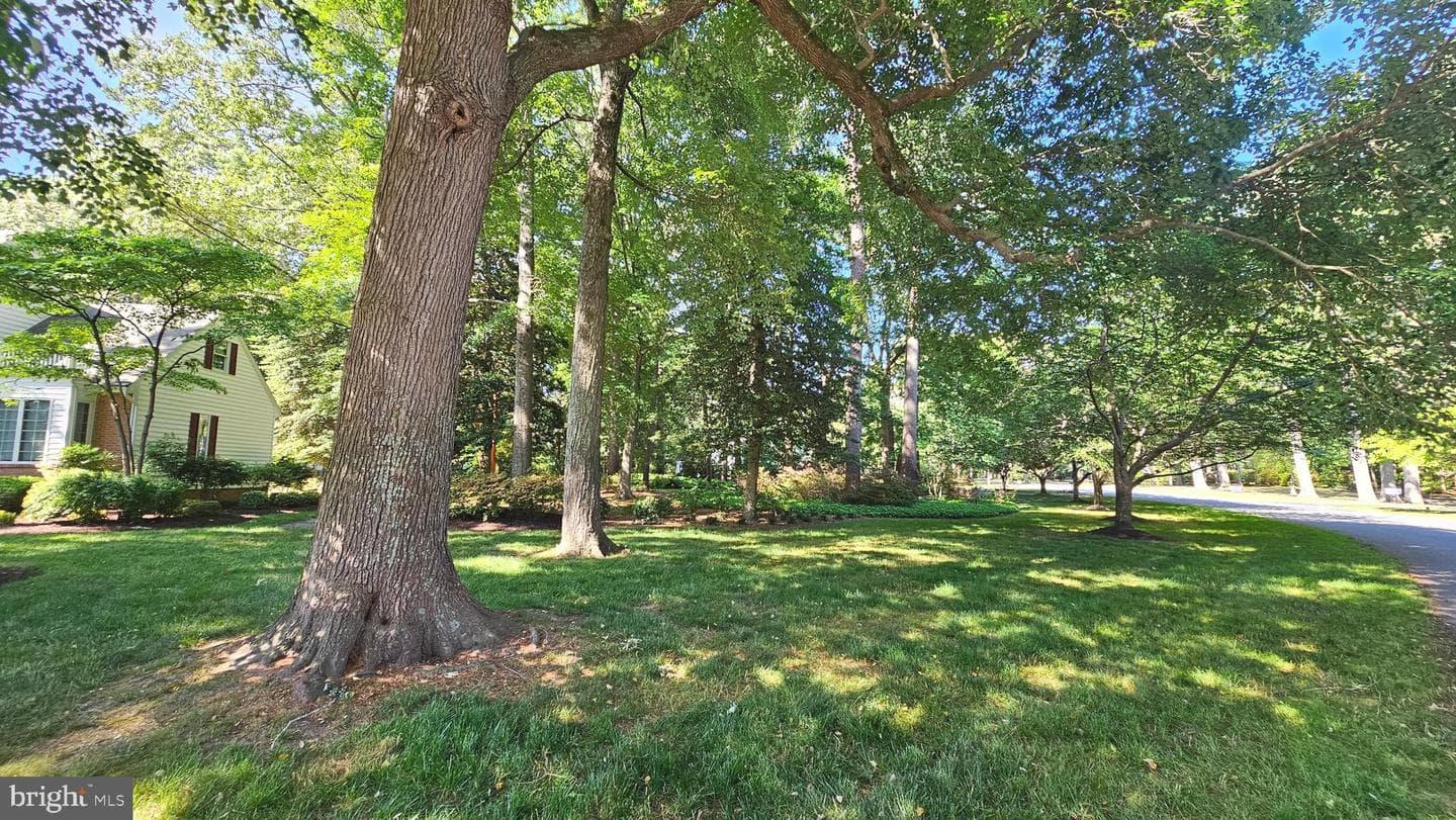 606 Tony Tank Lane photo 11