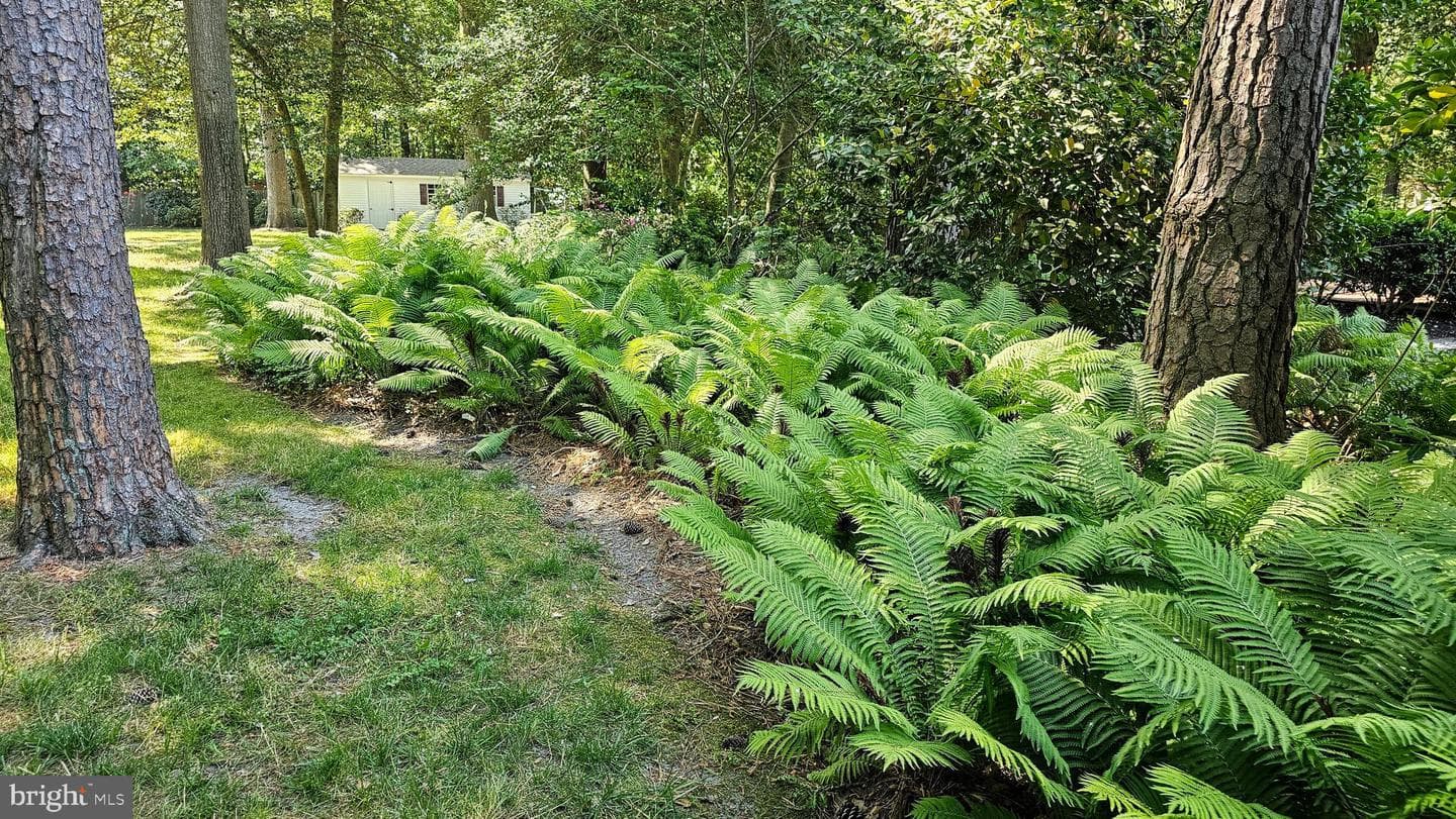 606 Tony Tank Lane photo 17