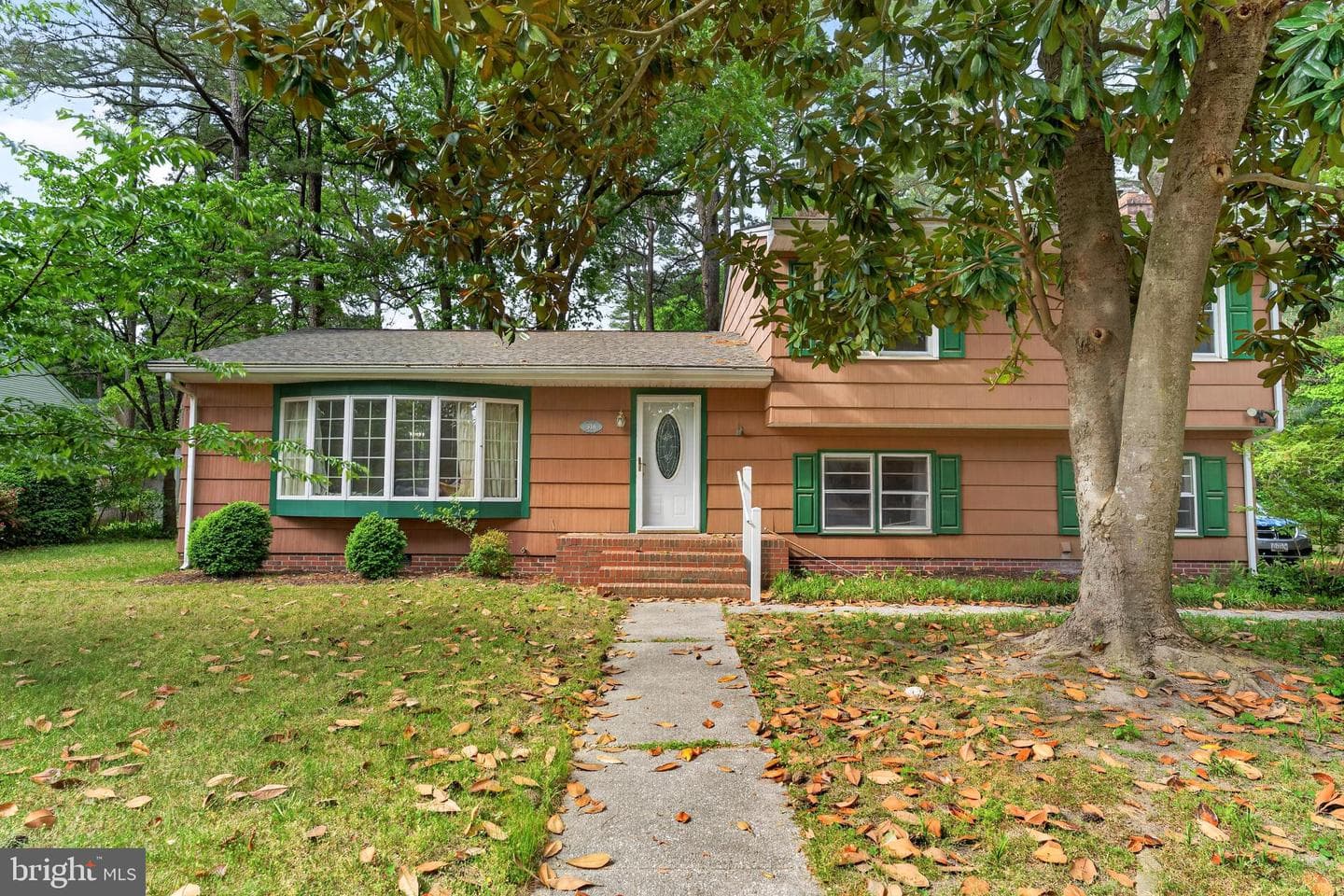 518 Loblolly Lane photo 4