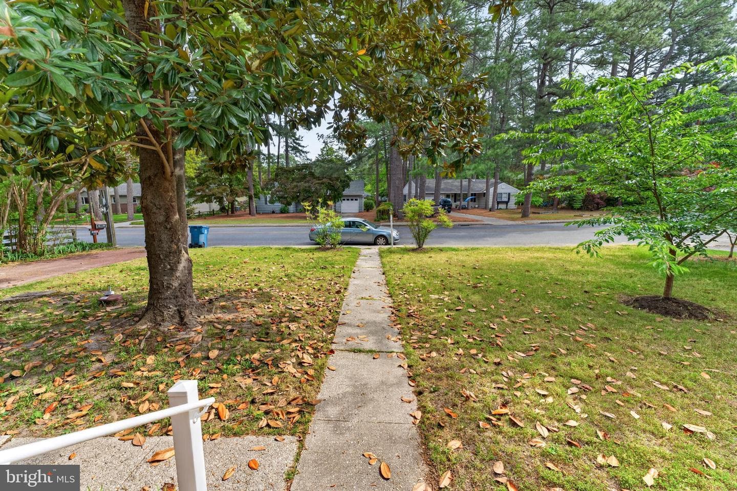 518 Loblolly Lane photo 64