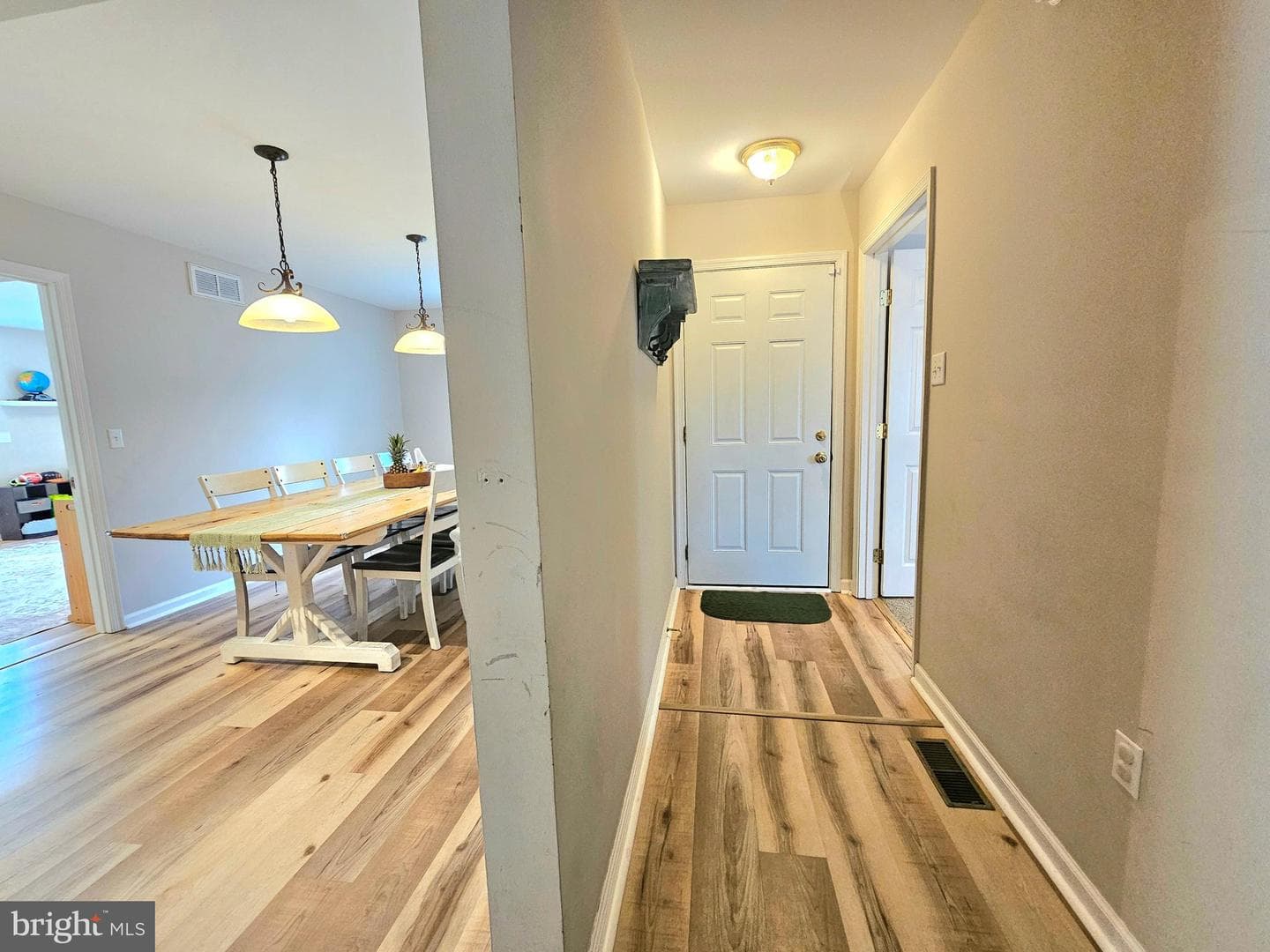 620 Terrapin Lane photo 14