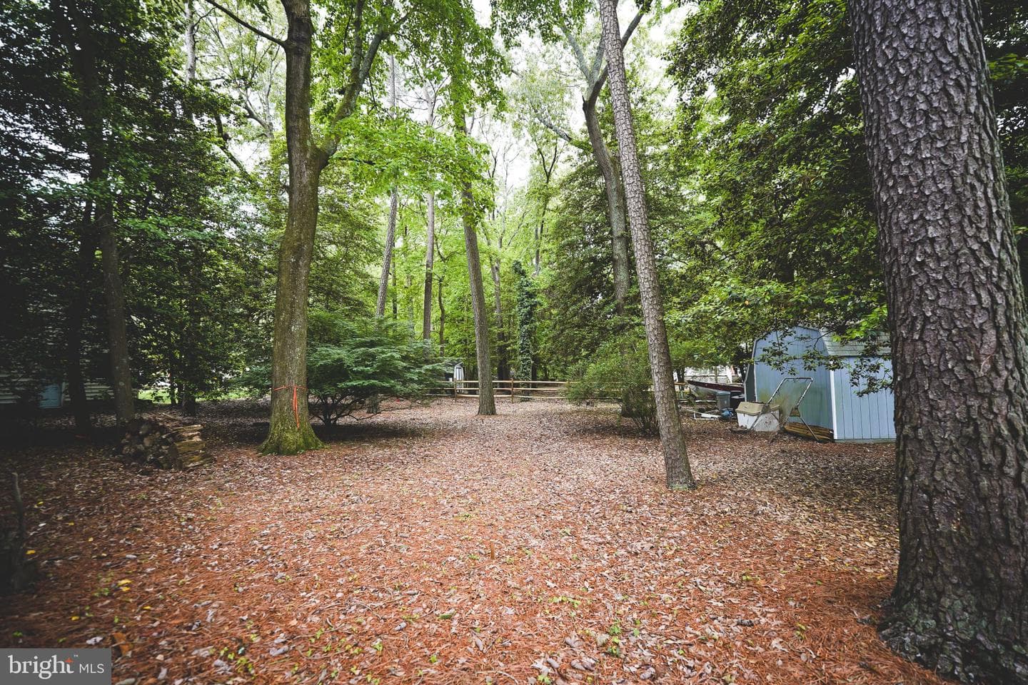 29745 Jackson Road photo 61
