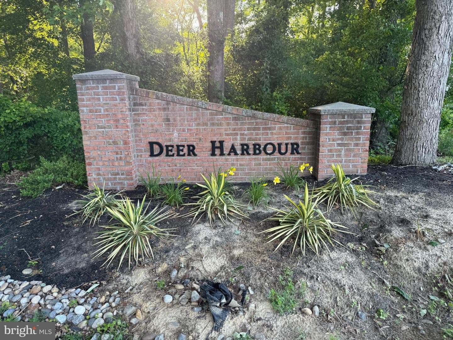 29745 Jackson Road photo 64