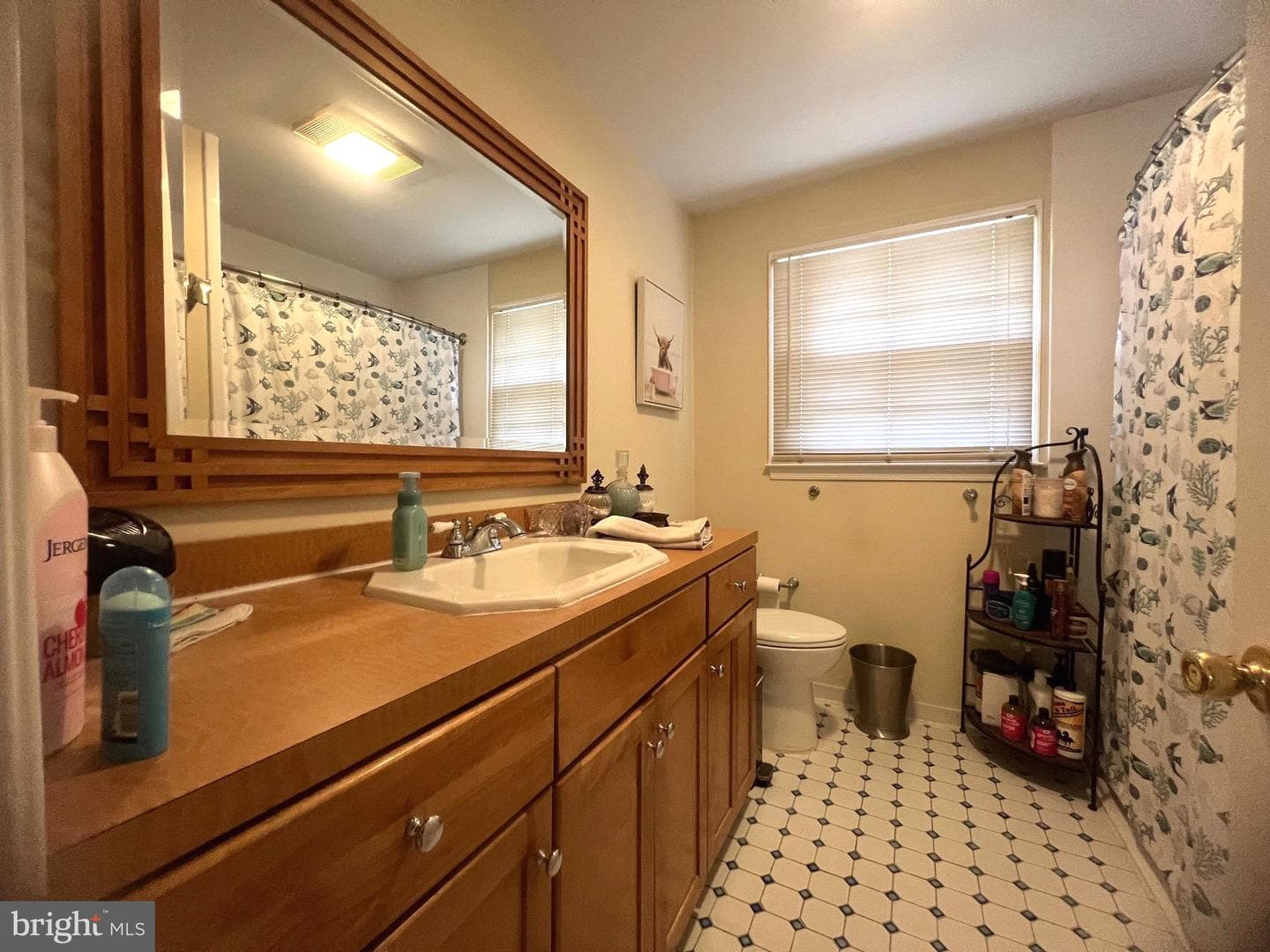 1405 Westchester Street photo 28
