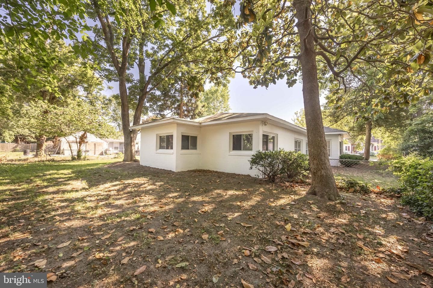 122 Priscilla Street photo 57