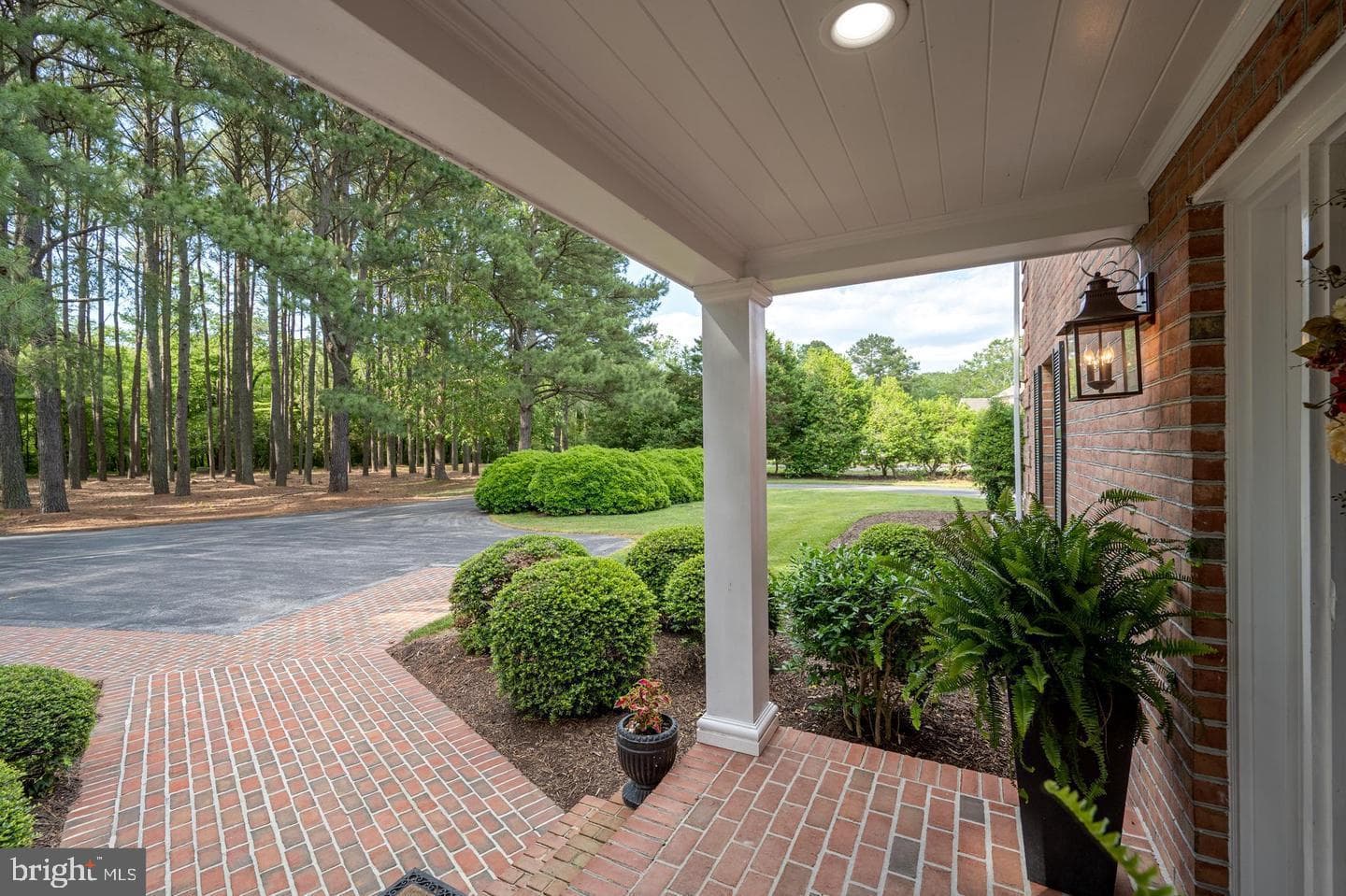1113 Cotton Patch Island Island photo 10