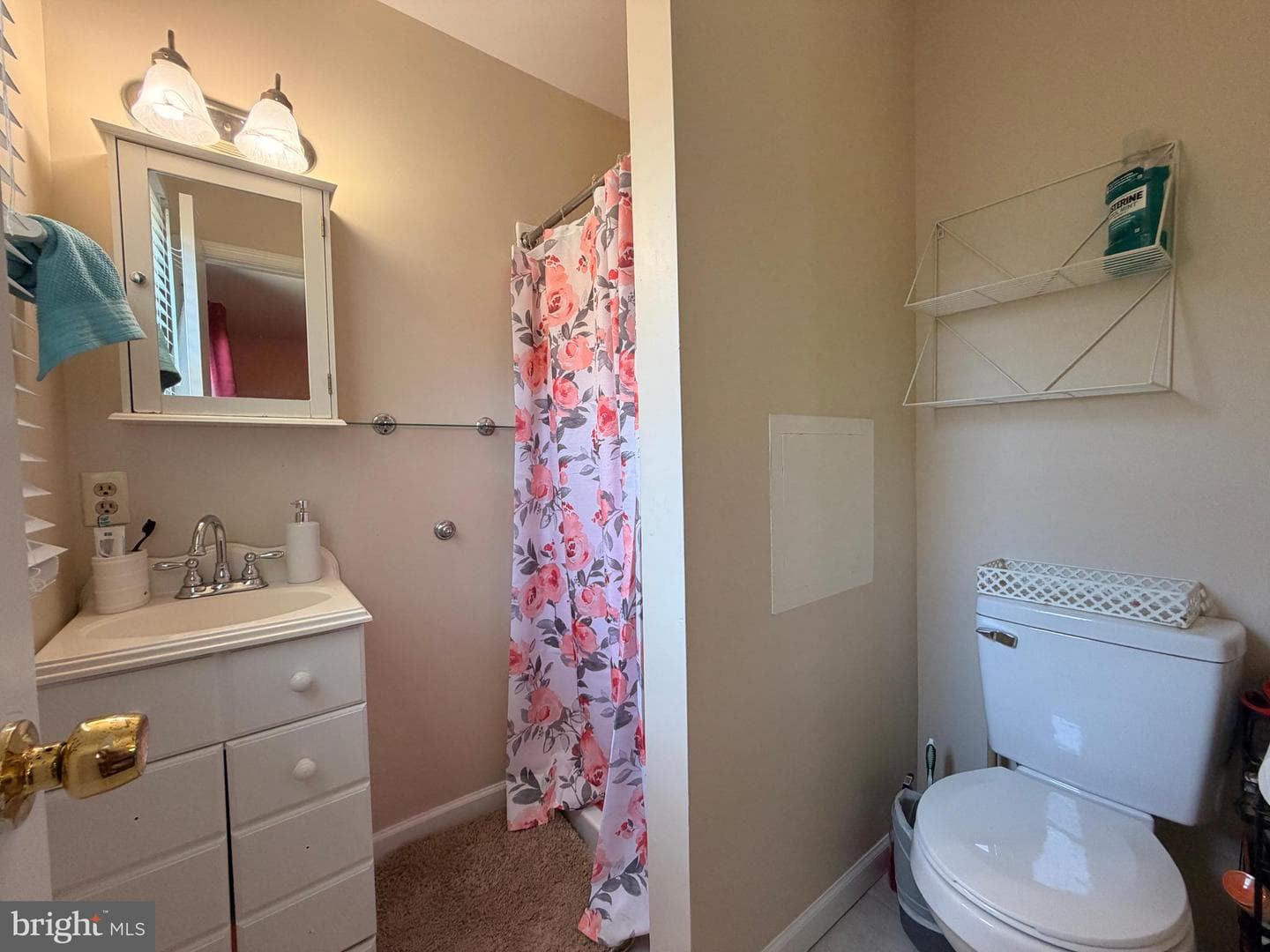 103 Montleau Avenue photo 22