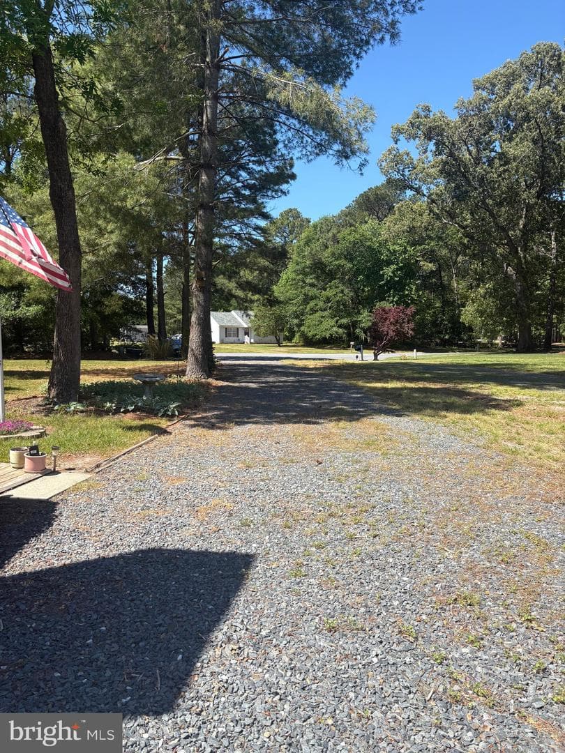207 Thrasher Way photo 18