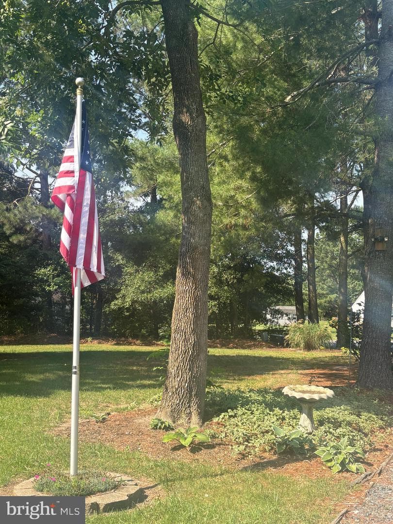 207 Thrasher Way photo 20