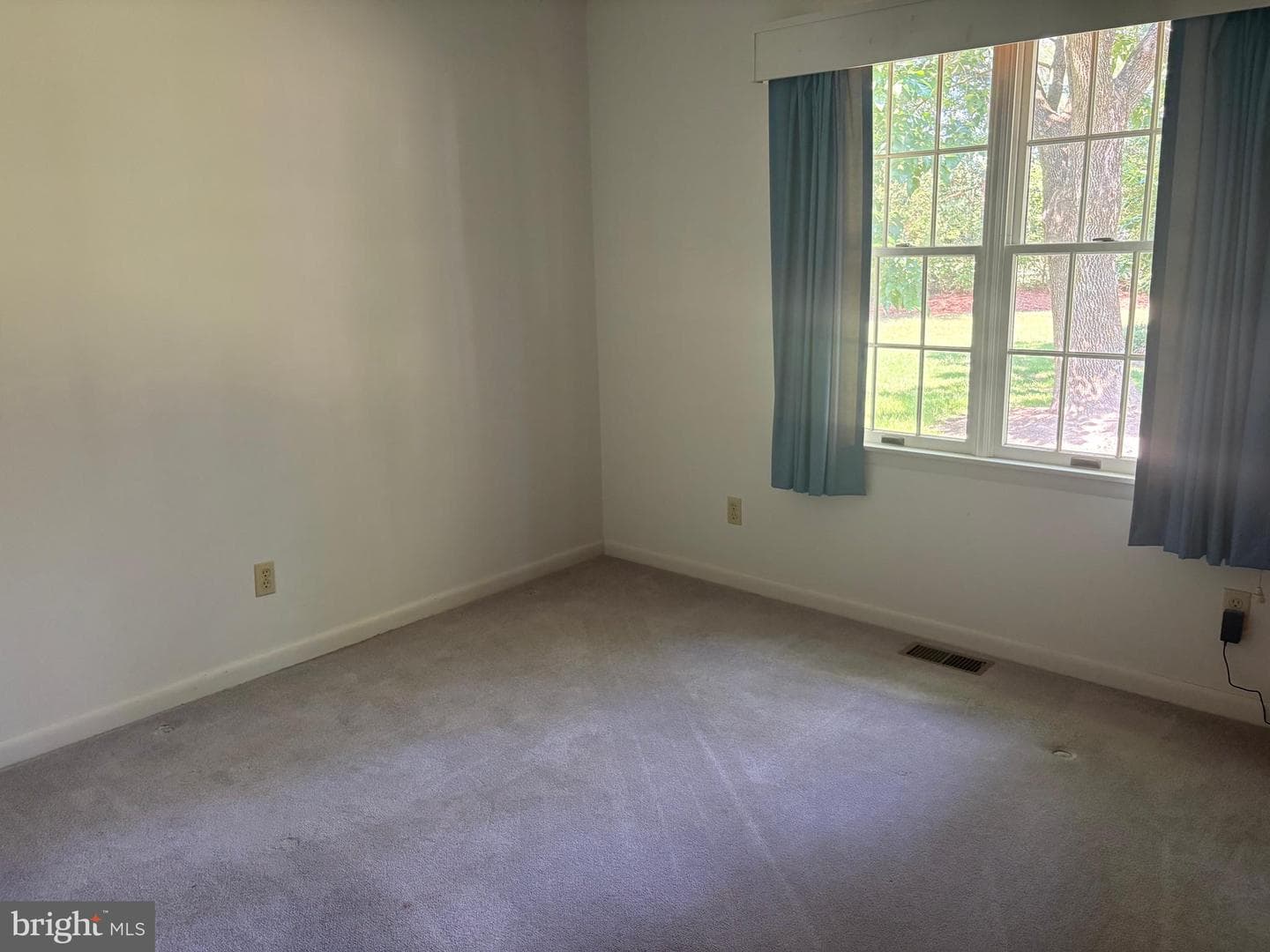 207 Thrasher Way photo 43