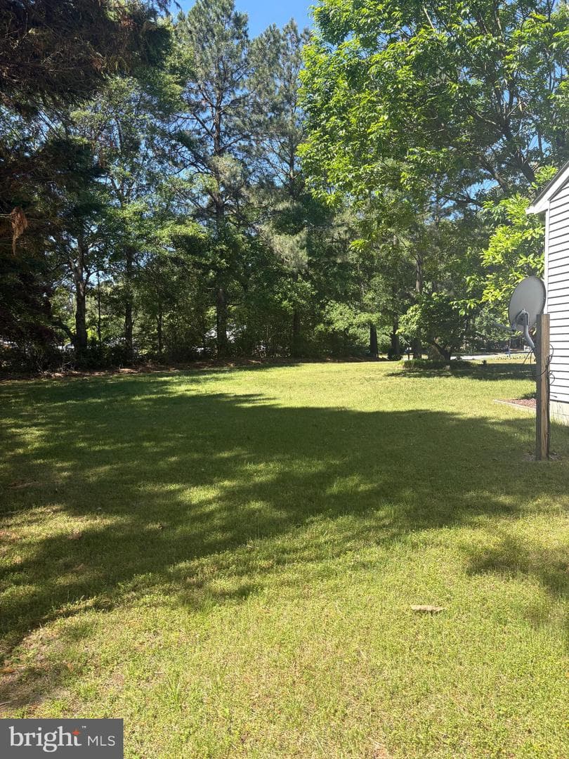 207 Thrasher Way photo 6