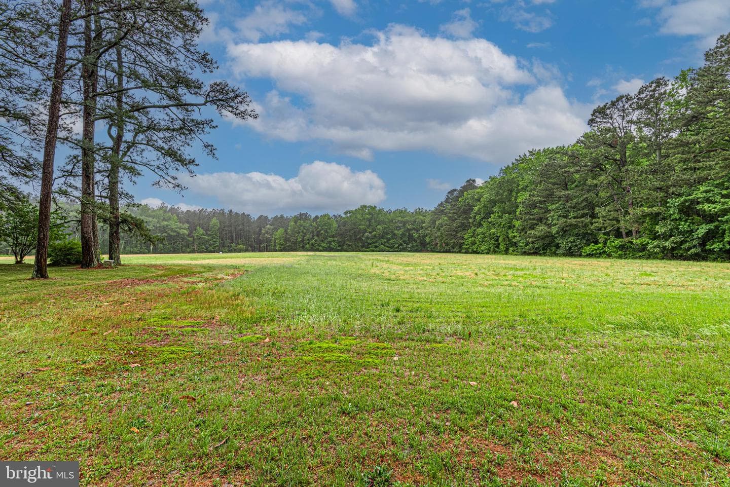 33550 Mount Hermon Rd photo 5