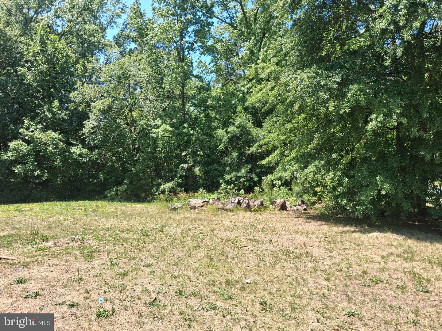 8381 Hurleys Neck Rd photo 5
