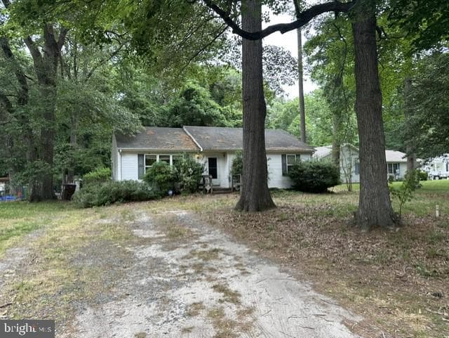 30464 Cannon Drive photo 2