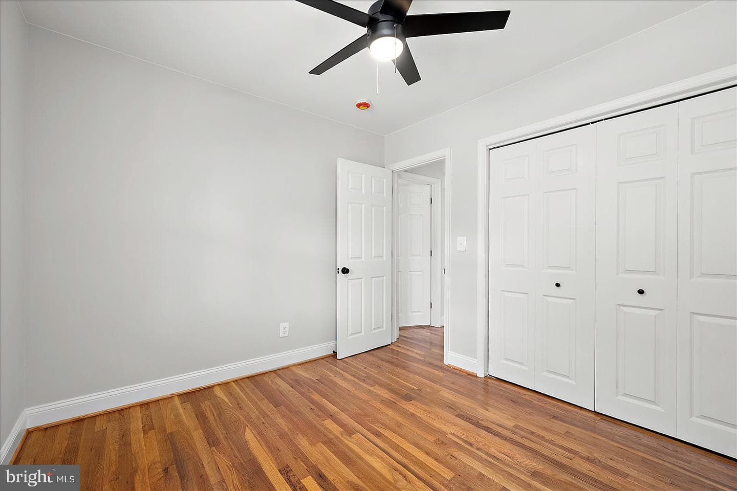 31655 Morris Leonard Road photo 30