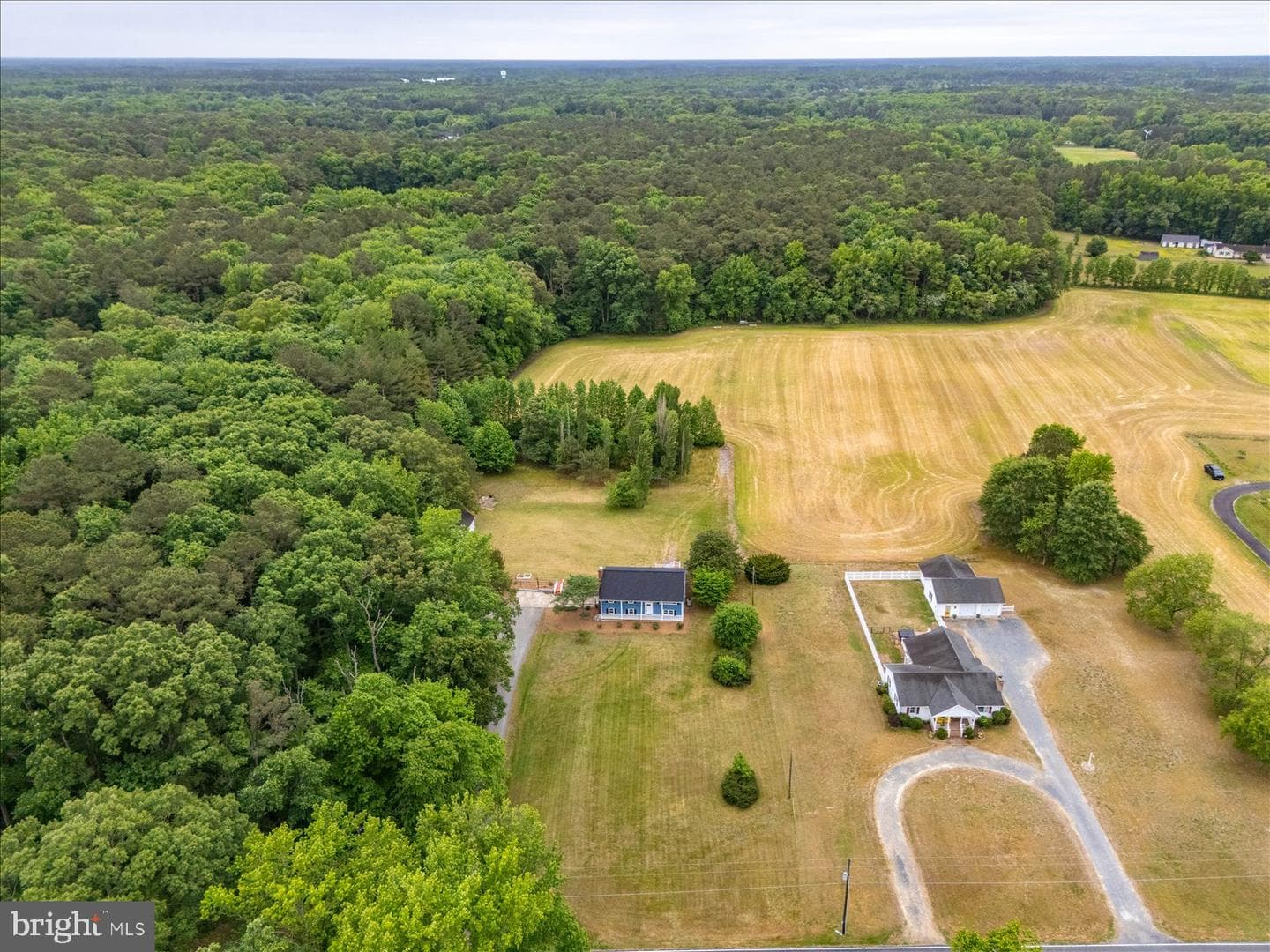 31655 Morris Leonard Road photo 58