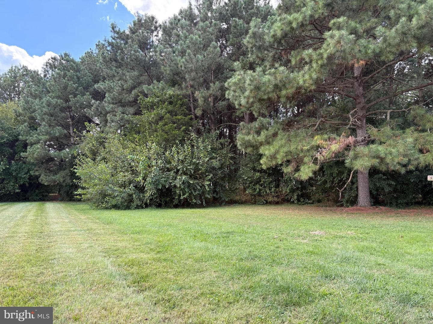 31867 Shavox Road photo 34