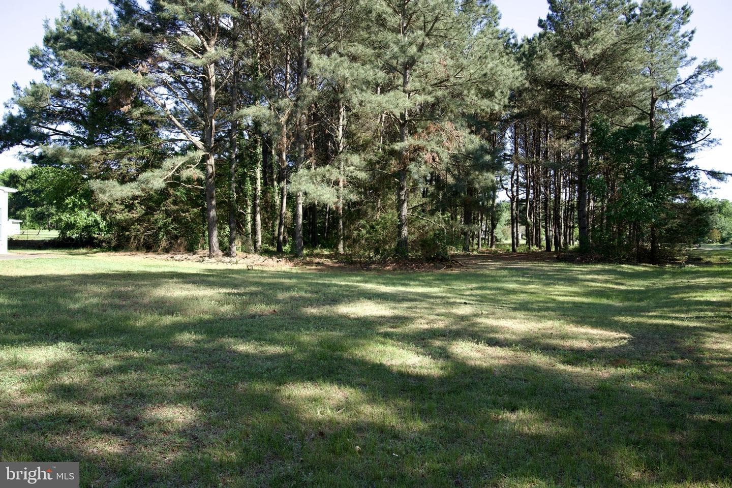 31867 Shavox Road photo 37