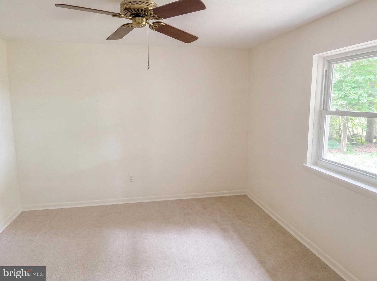 7307 E Ranier Drive photo 8