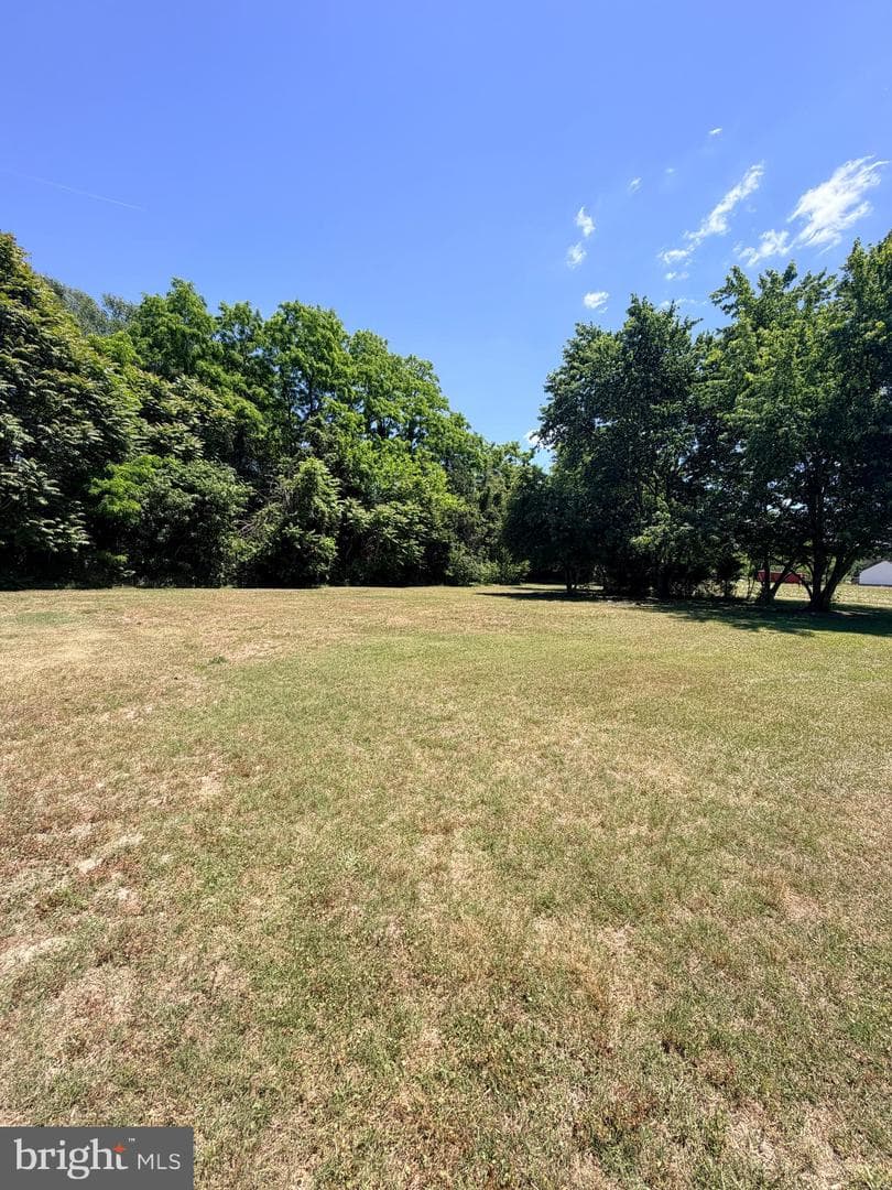 502 Charles Street photo 32